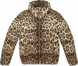 Dolce & Gabbana Women's Leopard Print Short Down Jacket in Beige | Size 38 | F9R11THSMW8 Color HY13M