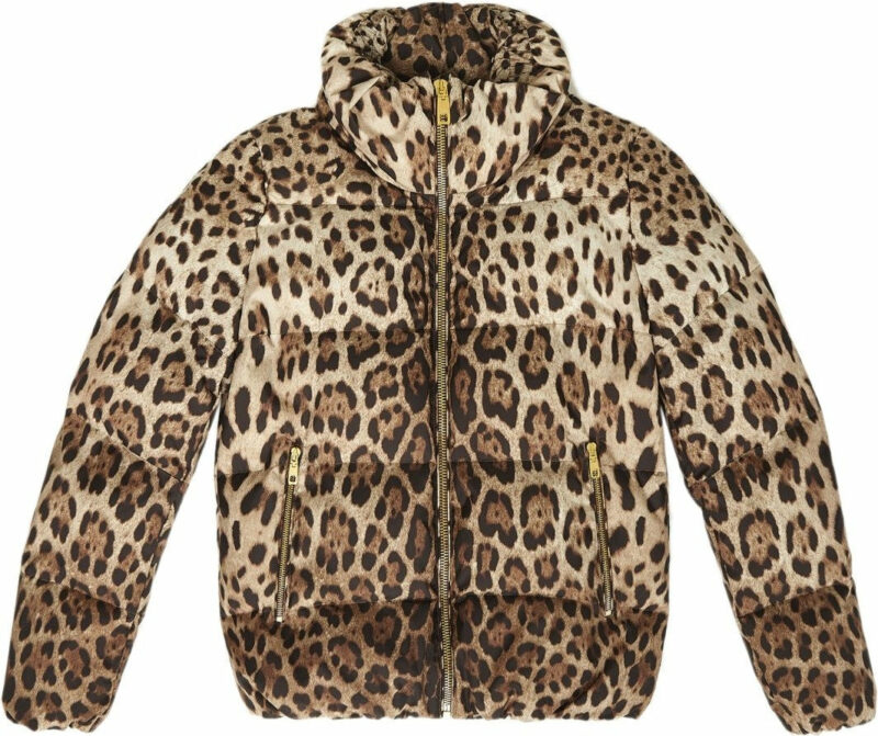 Dolce & Gabbana Women's Leopard Print Short Down Jacket in Beige | Size 42 | F9R11THSMW8 Color HY13M